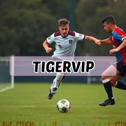 tigervip.com Ao Vivo